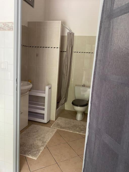 Villa Serenice - F2 Au Calme, Climatise, Wifi Et Parking Gratuit Екстериор снимка