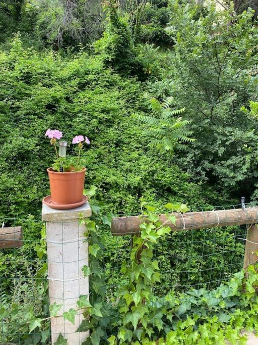 Villa Serenice - F2 Au Calme, Climatise, Wifi Et Parking Gratuit Екстериор снимка